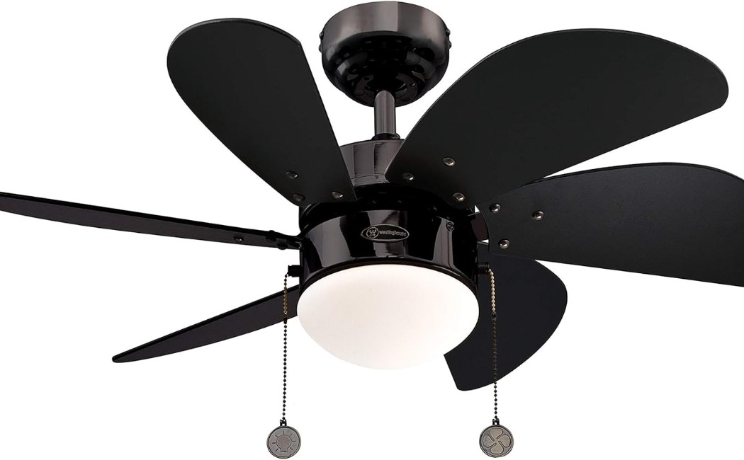 Ceiling Fan Services Provider Company